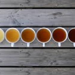 meer dan 100 soorten losse thee op locatie